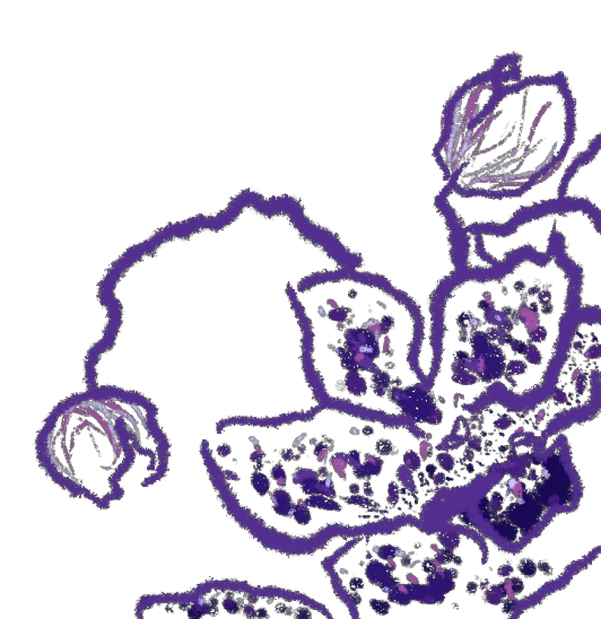 Bottom Right Ornament